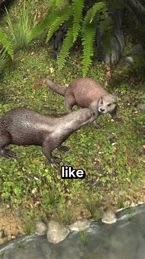 This Cute Animal Is a River Assassin | European Otter