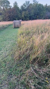 12K views · 1.1K reactions | Meowdy purrtners. Squeak and leap 類 If you’re a fan of Jack Spicer’s kitty cat cowboy content please consider subscribing or joining his Patreon linked in bio  everything helps ❤️ #cat #cats #catlover #catsofinstagram #catlovers #cats_of_instagram #kittycat #tuxedocat #kitty #catlife | Aaron Apps | Facebook