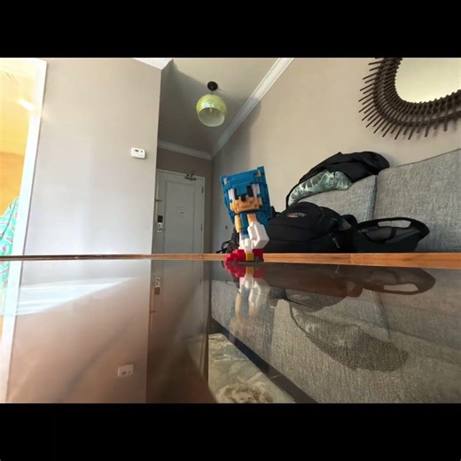 Sonic test animation