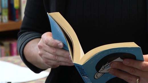 Statewide legislation to address book challenges while protecting First Amendment