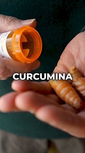 ✨ Una speranza per i pazienti con atrofia muscolare spinale Parliamo della curcumina, un potente antiossidante estratto dalla curcuma, che potrebbe migliorare la qualità della vita dei pazienti affetti da atrofia muscolare spinale (SMA) che non rispondono ai trattamenti farmacologici tradizionali. 🍛 La curcumina sembra in grado di stimolare la produzione della proteina SMN essenziale per il movimento, attraverso un meccanismo legato alla proteina NRF2. 🔬 Sebbene siano necessari ulteriori studi