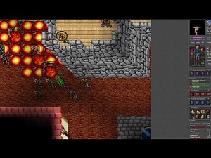 Tibia 7.4 Elder Druid hunting mintwallin