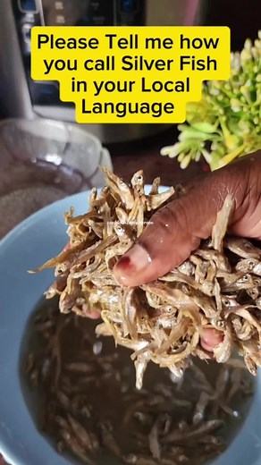 Delicious Silver Fish Recipe Variations to Try Today!