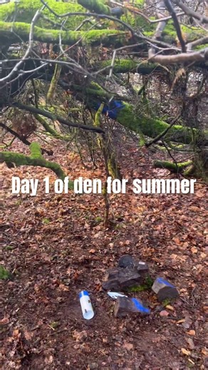 Day 1 Started like a week ago but first time filming #preprint #cadherin #preprocessing #reproduc