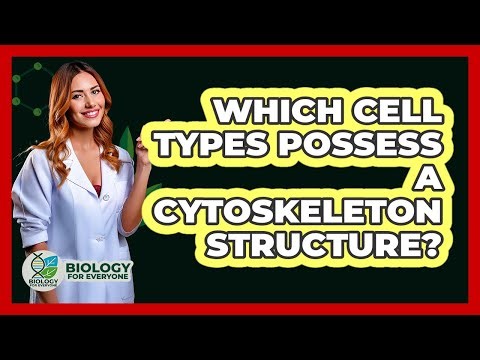 Which Cell Types Possess a Cytoskeleton Structure?