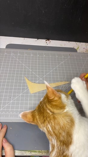 Say no to cat's with pencils! #orangecats | Peculiarly Ashley