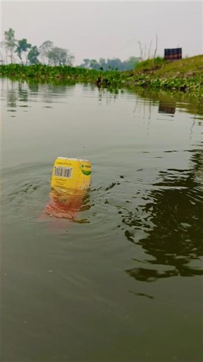 New best fishing video 🐟 #trending #foryou #funny #fishing #fish #shorts #ytshorts #viral