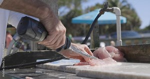 Man filleting red snapper fish with electric saw at bait shop in Sarasota Florida