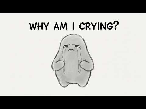 Why is Your "Angry Crying" Actually a Sign of 150% Capacity, Not Weakness?