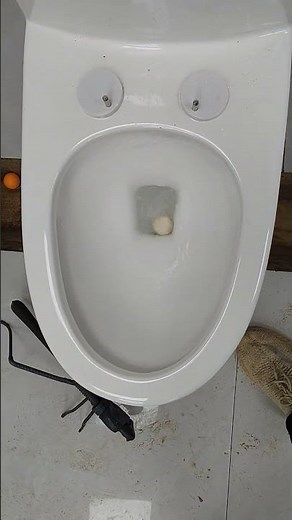 This Ball Reaction Was Not Expected!