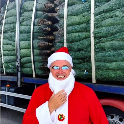 The trees have are here #2025lichfieldlights #lichfield 2025 christmas light switch on this sunday Lichfield Markets fish and chip van bakers lane next to boots will be there try the orange black country chips | Fish and chip van lichfield | Facebook