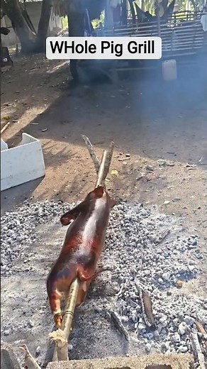 Catch & Cook: WHOLE Wild Pig Roast! 🔥