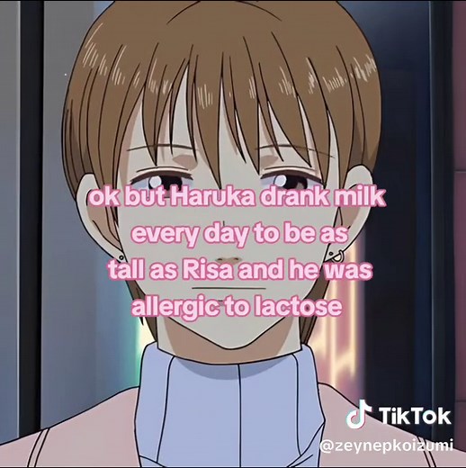 Rediscovering Lovely Complex: A Shoujo Anime Journey