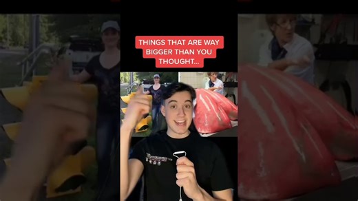 Objects that turned out far larger than most people assume