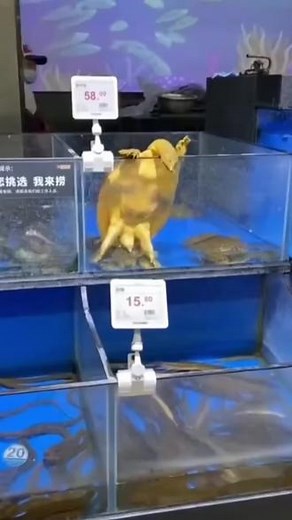 得一D在抖音记录美好生活20220905