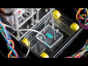 Blood-Brain Barrier-on-a-Chip