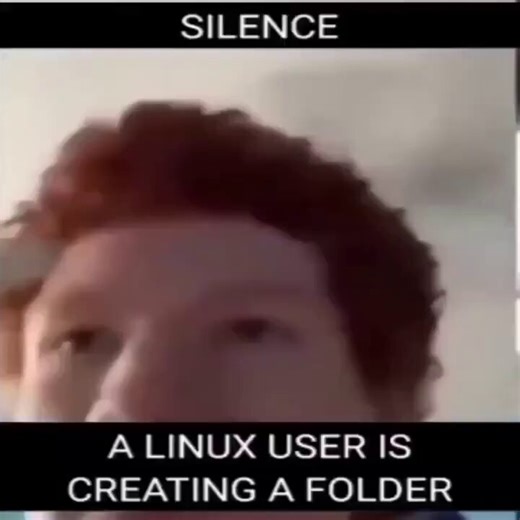 Linux users creating a folder be like: