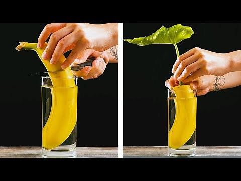 30 CLEVER GARDENING HACKS YOU HAVE TO TRY || 5-Minute Garden Decor Projects!