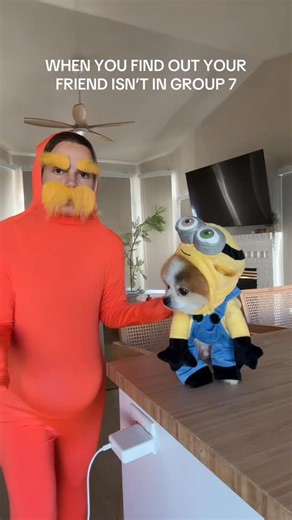 WHEN YOU FIND OUT YOUR PUPPY ISN’T IN GROUP 7 #g7 #group7 #halloweencostume #trendingvideo | 1st Choice Home Stays