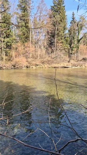 Peaceful Swiss River – Relaxing 4K Nature ASMR with Birds & Water Sounds