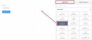 Country List Input Field in WP Fluent Form WordPress Plugin
