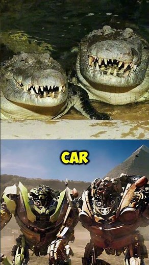 Running Zig-Zag from Crocodiles is a MYTH! 🐊