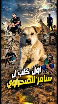 اول كلب اربي الابيض _ الي يعرف تاريخ تصوير الفيديو انشر حساباته بالحلقه التجي
