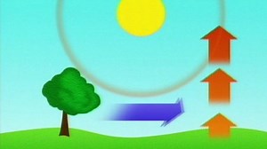 An introduction to wind