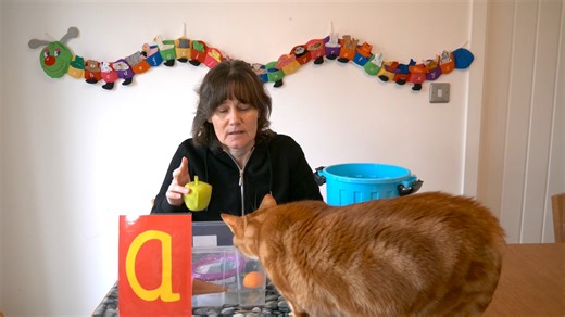 P2-3- a Phonics Phase 2 - Read, write and use ‘a’ -Learning with Lisa 焱