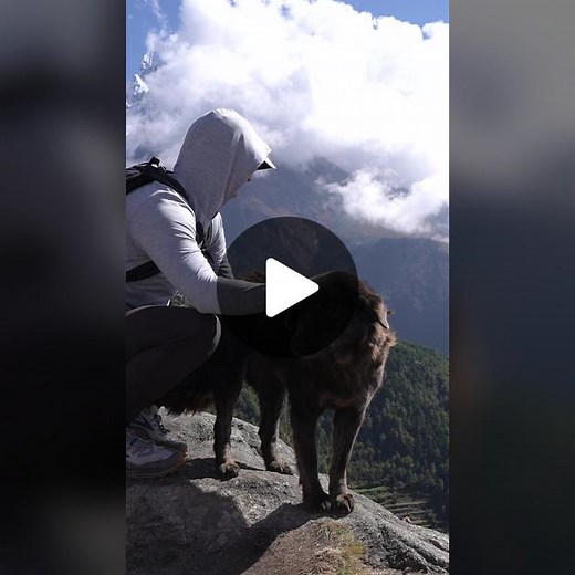 Kraig Adams on TikTok