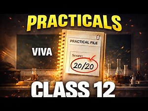Class 12 Commerce Practicals Strategy 🔥 | Accounts, BST, Eco | 20/20 Marks #cbse #class 12