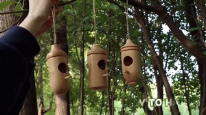 Hummingbird House - Natural Wooden Hummingbird Houses for Outside Hanging, Gardening Gifts for Women, Bird Lovers 3 Packs