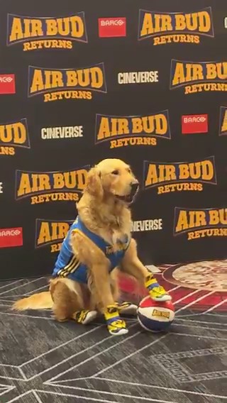 AIR BUD has arrived to CinemaCon‼️🏀 Air Bud Returns hits theatres January 2027.