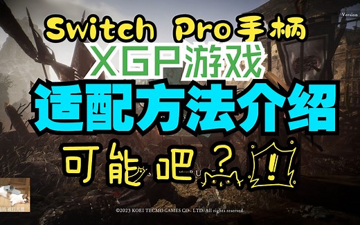 Switch Pro手柄在XGP(PC版Xbox APP)适配方法~卧龙:苍天陨落