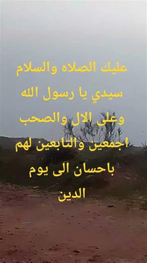 ١٤ مارس ٢٠٢٦