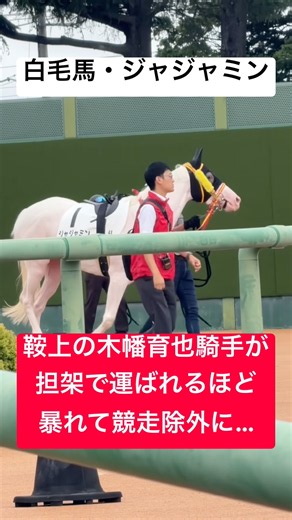 【ジャジャミン】 白毛で人気だったものの気性難で木幡育也騎手が担架で運ばれるほど暴れてその後競走除外に… #白毛 #競馬 #shorts #shortvideo
