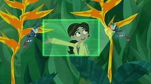 Wild Kratts - Hummingbird: Livin' Creature Style Video | PBS KIDS