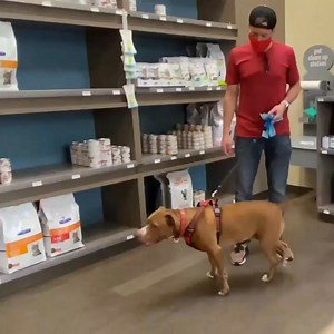 This is her mood at the vet 🤦‍ #talkinganimals #pitbulls | Happy puppies