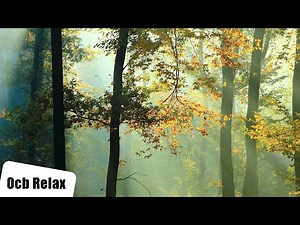 October | Relaxing Piano Sleep Music for Insomnia Relief