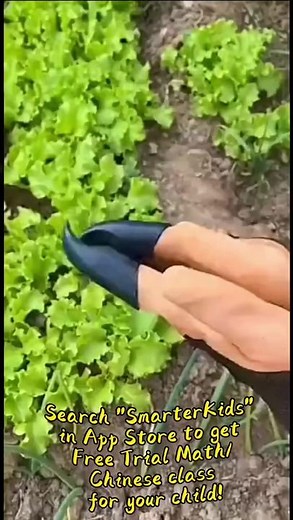 Smarterkids_learnfun on TikTok