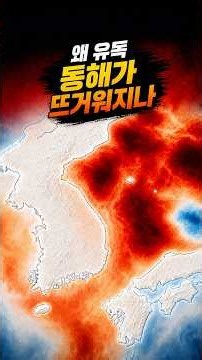 Why is the East Sea getting so unusually hot? The KMA explains #WeatherInfo #shorts