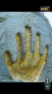 Movie(2) | Colegio compartir de cali