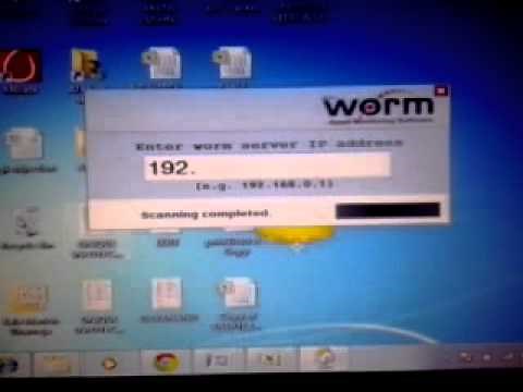 worm software installation