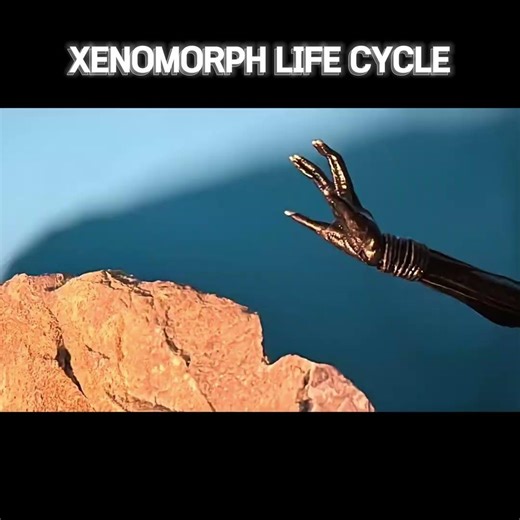 XenoMorph Life Cycle #stopmotion #xenomorph #actionfigures #predatorbadlands #alienromulus