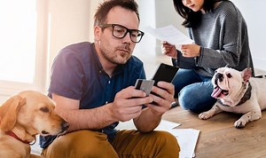 Pet insurance: Which policy is best for your pet?