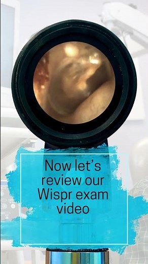 Osteoma or Exostosis?