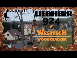 WOODCRACKER + BAGGER - Baumfällung mit Spezialtechnik