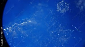 The smallest particles of snow under a microscope. Snowflakes through the lens of laboratory equipment. Invisible microcosm. Stunning beauty.