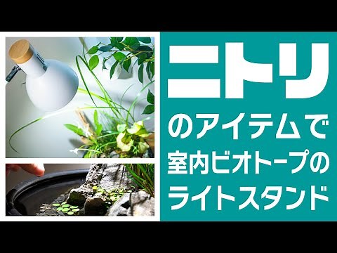 【ニトリ】屋内ビオトープ用の植物育成用LEDライトスタンドを紹介します #アクアリウム #ビオトープ 【ビバアクア】
