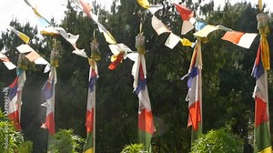 Flipping colorful prayer flags in sunlight. Strings with prayer flags hanging above green trees in sunlight, Nepal